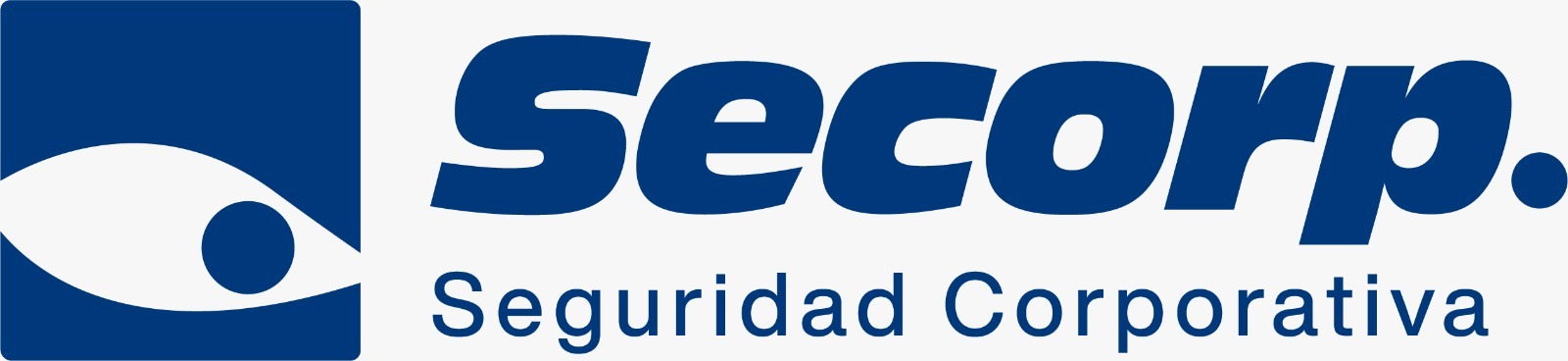17.-Secorp-seguridad-corporativa